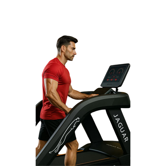 Jaguar 300k treadmill with two wheels