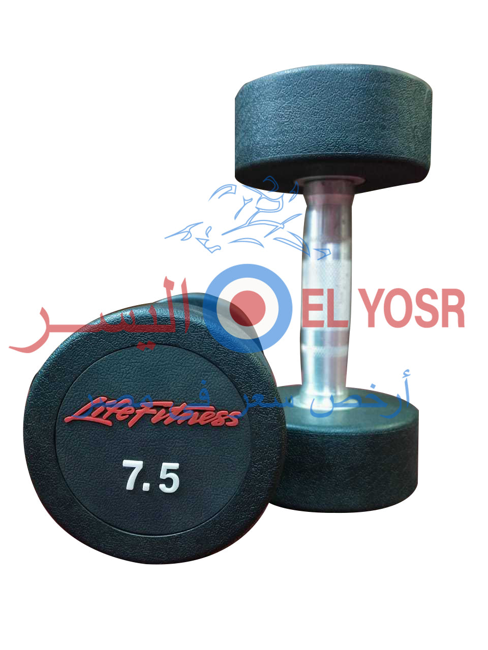 Imported dumbbell, Life Fitness brand, American