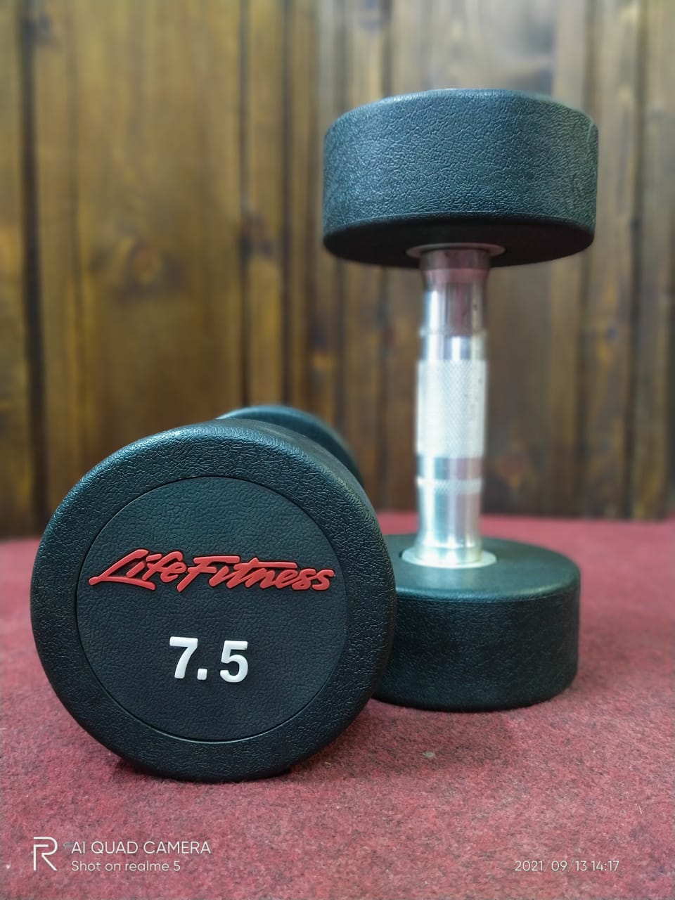 Imported dumbbell, Life Fitness brand, American