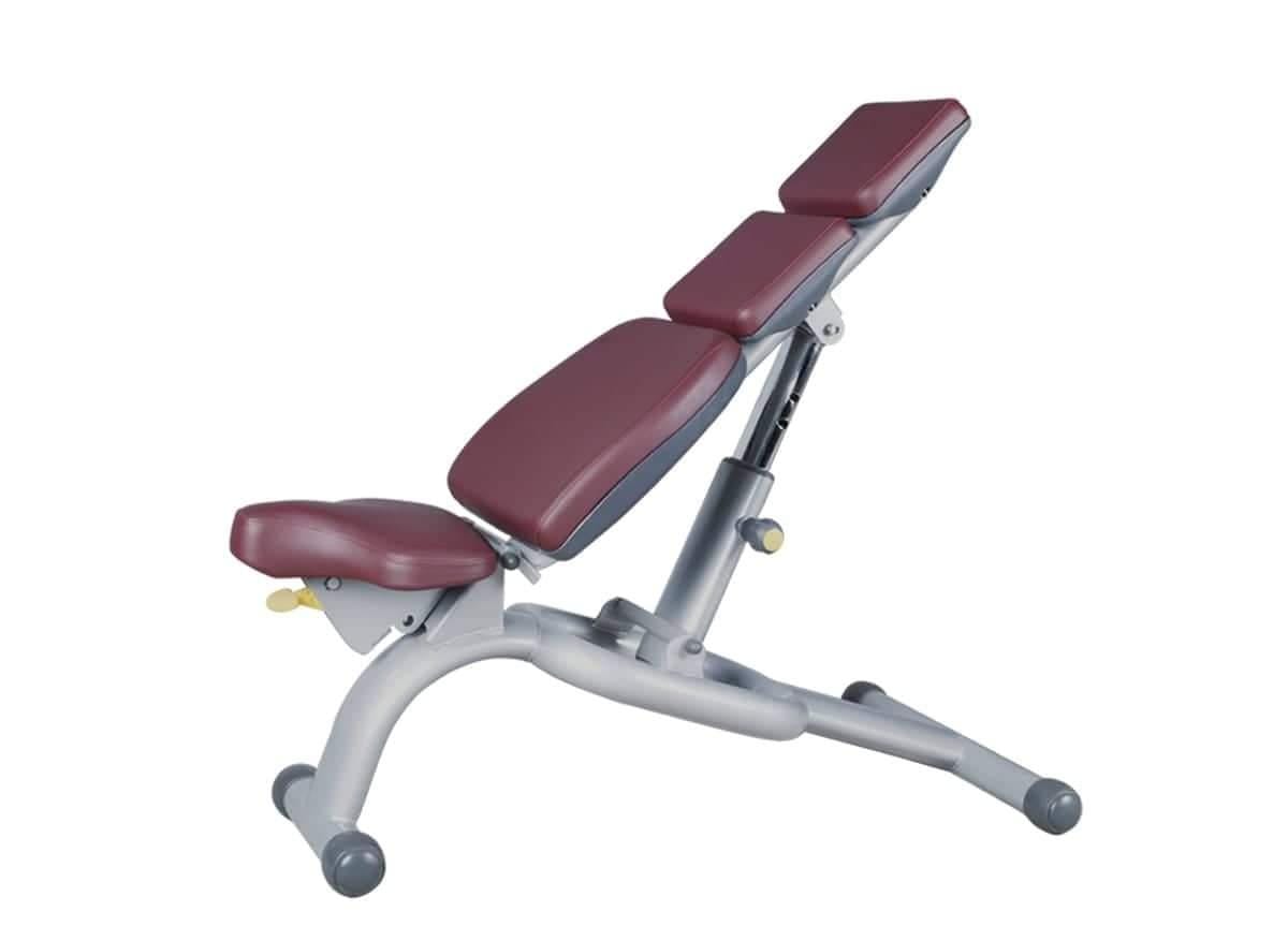 Free bench 250k levels